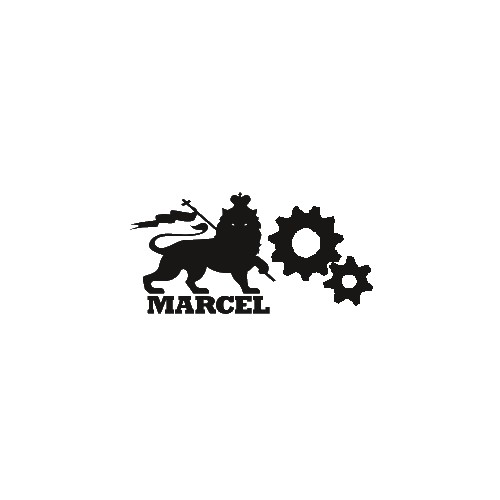 Marcel Framework